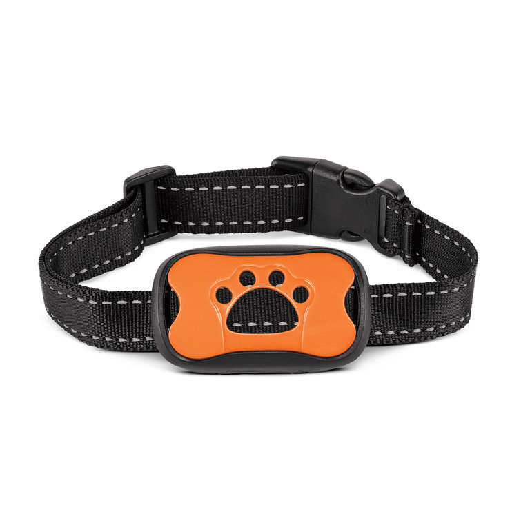 Winston Brands Humane High Frequency Anti Bark Dog Collar Wayfair Canada